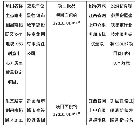 生態(tài)路南側(cè)昌南拓展區(qū)B-11地塊（5G創(chuàng)意中心）房屋質(zhì)量鑒定項(xiàng)目、生態(tài)路南側(cè)昌南拓展區(qū)B-11地塊（5G創(chuàng)意中心）消防安全評估項(xiàng)目計(jì)劃公告